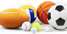Ballwurfsicher
